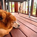 Mobile Nebo Luxus Klenovica